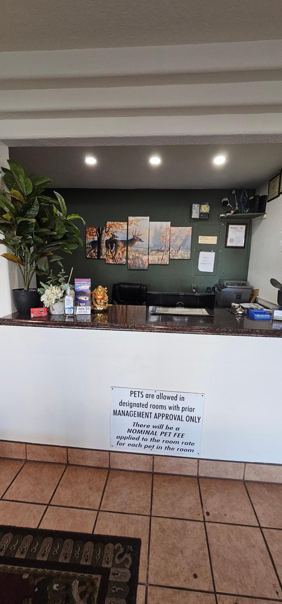 Travel Inn & Suite Springerville Εξωτερικό φωτογραφία